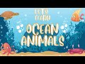 Sea Animals Water Animals Ocean Animals For Kids