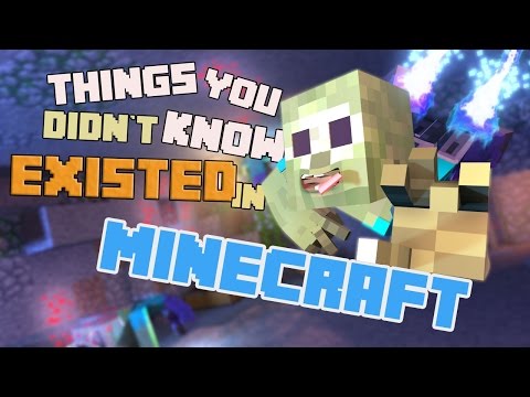 FrediSaalAnimations - 10 Things you didn't know exist in Minecraft - (Animation Collab)