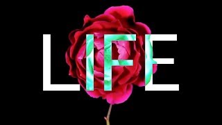 Life - A compilation of thoughts inspired by my brother