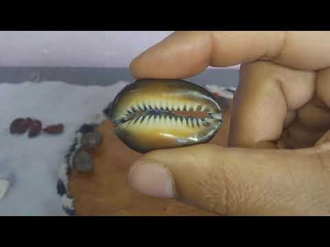 o verdadeiro jogo de Exu parte 2.