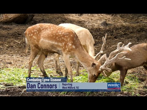 NJ West Milford Combating Lyme Disease