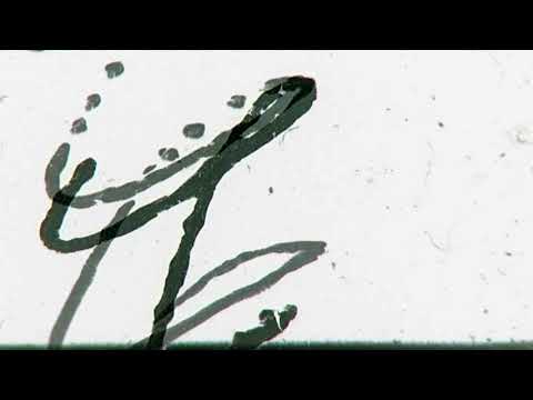 Campanha exalta a criatividade individual de cada aluno