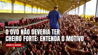 Miniatura do vídeo