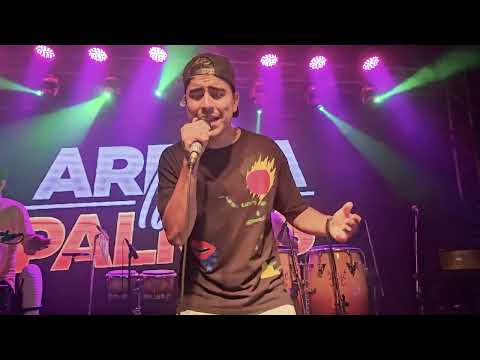 👏 Arriba Las Palmas - El Perdedor (En Vivo)👏