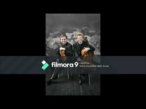 Martinu Duo N. 1 for violin and cello - Leos Cepicky violin, Michal Kanka cello