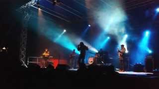 ADAM GREEN live AT CARROPONTE 30.5.13 - My shadow tags on behind + Tropical Island