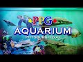 The Pittsburgh Zoo And Ppg Aquarium