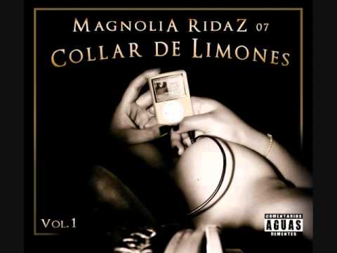 Vuelven Los Perros - Magnolia Ridaz