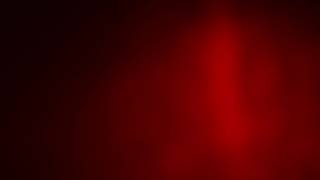 PILLGRIM - The Wealth Of Lies