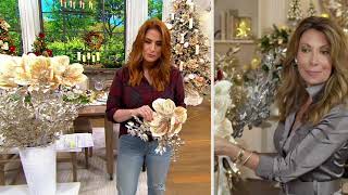 Simply Stunning 18-piece Luxe Decorator Set by Janine Graff on QVC