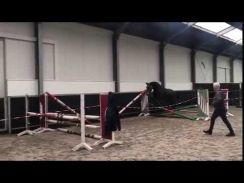 Cortesia by Cornet Obolensky