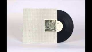 Snow Ghosts - Secret Garden (Matthew Herbert's Wash It All Away Remix) [Houndstooth]