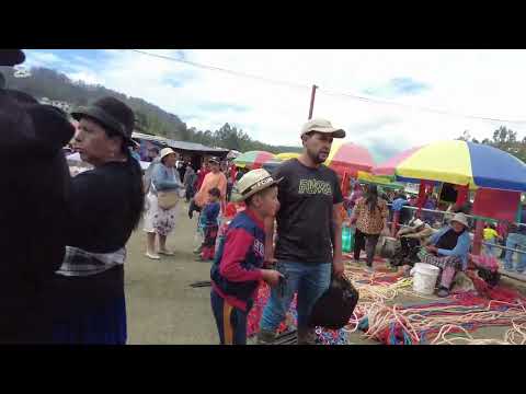 BIBLIAN FERIA DE GANADO SÁBADOS PROVINCIA DEL CAÑAR ECUADOR 🏞️