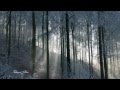 André Rieu - When Winter Comes... 