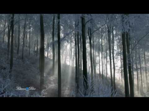 André Rieu - When Winter Comes...