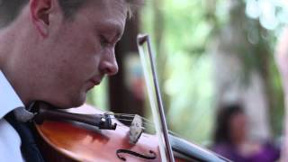 Irish Trad at Wedding 2015 2