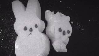 Milk and honey peeps