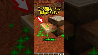 新情報！この新キノコ、挙動がやばい【マイクラ】