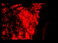 Thomas Dybdalh - Love's Lost