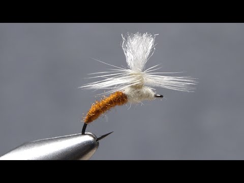 Light Cahill Klinkhamer