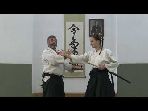 Seimeikan Dojo Christmas Seminar - 2024 - Ricardo Leite Shihan - 7th Dan Aikikai