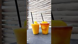 BIMINI BEACH CLUB IN THE BAHAMAS IS A MUST VISIT #bimini #biminibeachclub #bahamas #beachclub #beach