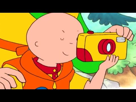 Caillou 302 - Caillou's Coins / Bulldozer / Caillou, the Firefighter / The Timekeeper