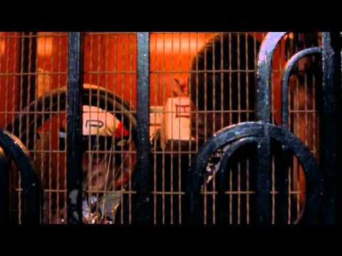 Метиска - Trailer