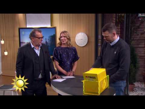 Blir det en ny häst för trissvinnaren? - Nyhetsmorgon (TV4)