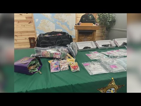 Bay County Mugshot Search