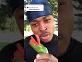 NEW KING Shorts Tiktok Spicy Takis Jombospice Short