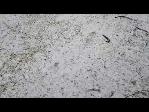 Kylläpäs ON! taas sää ON! niin aurinkoinen