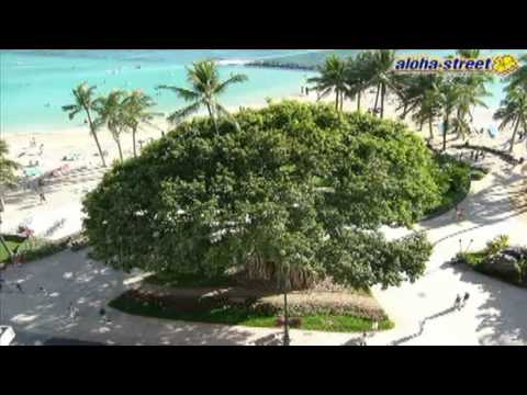 Jitka Vrbová -  Bílá pláž