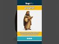 prophet - someone who is believed to... video thumbnail