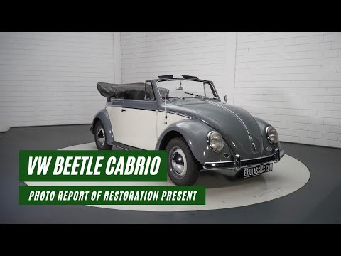1959 Volkswagen Beetle (CC-1613215) for sale in Waalwijk, Noord-Brabant