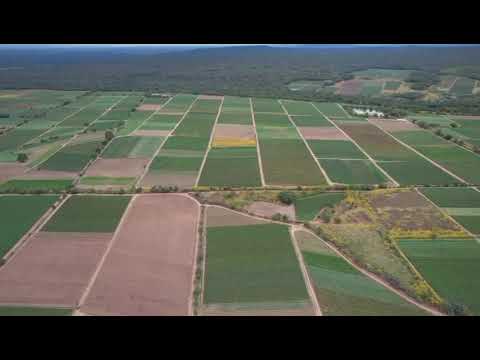 Venta excelente campo Fraile Pintado, Jujuy