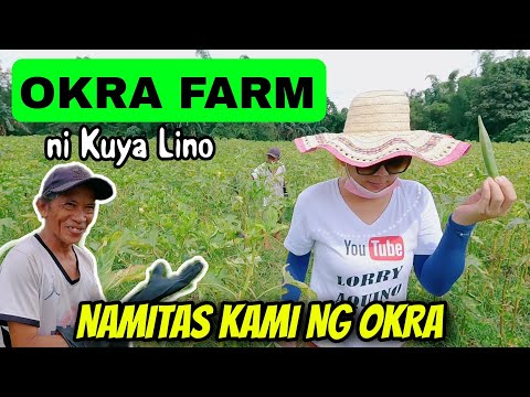 KAPAG MAY ITINANIM MAY AANIHIN