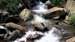 Wings of the Dawn by Sheila Chandra