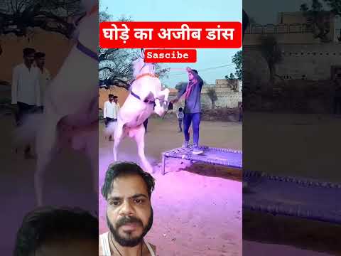Horse ne lagaya Dance ka Tadka! #youtubeshorts #funny #trending #shorts