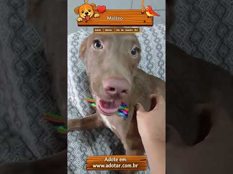 Vídeo de Matteo