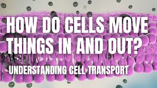 Cell Transport: How Cells Move Materials In and Out | Middle School Science