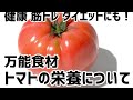 健康にも筋肉にも良い!ダイエットにも!万能食材トマト・リコピンの栄養効果効能解説