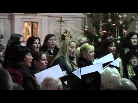 OSS (dříve PSSO) - Jerušalajim šel zahav, 11.1.2015