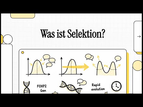 Was ist Selektion? | EINFACH ERKLÄRT