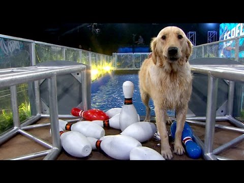 Especial Perros - Programa 13/05/16
