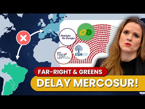 Mercosur Delayed - What Next? (I'm Furious)