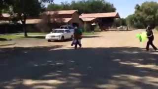 Harris Farms Horse Division celebrates California Chrome!