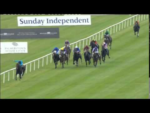Brown Panther - Irish St Leger - Curragh - 14/09/14