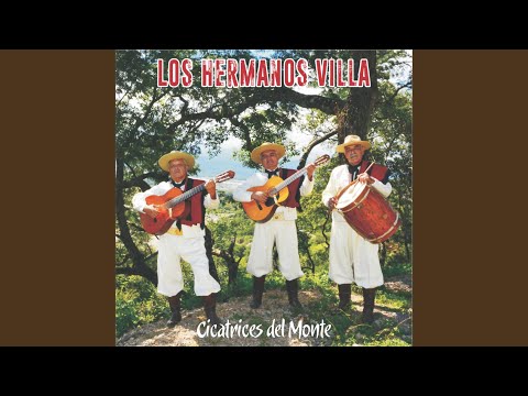 Huellando Ausencia (Zamba)