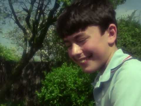 The Day of the Triffids 1981 TV series (S01E01)